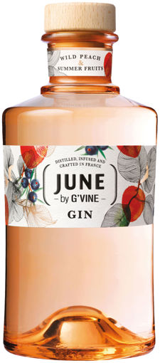 Picture of June by G'Vine Wild Peach & Fruits Gin